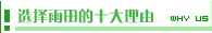大丰地区资深的网站制作-大丰雨田网络最新友情提醒